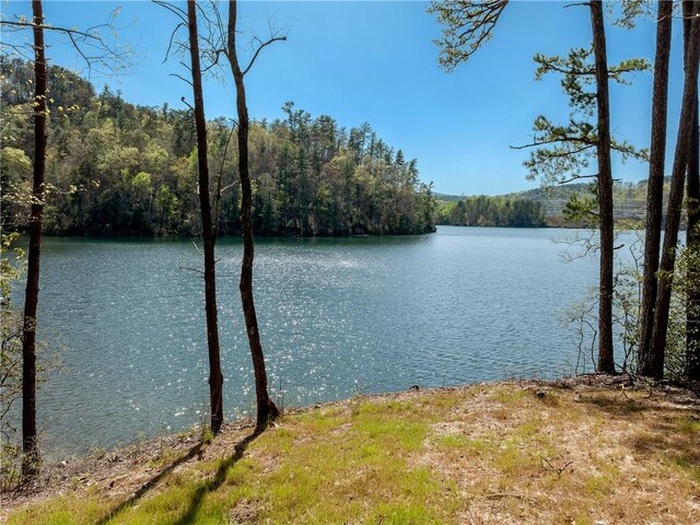 LOT2 Johnson Dr, Sunset, SC 29685 - photo 18