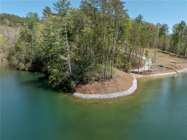 LOT2 Johnson Dr, Sunset, SC 29685 - photo 19