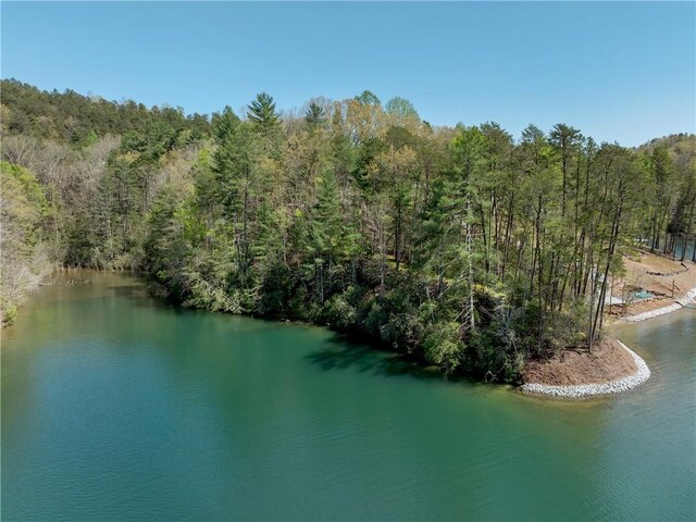 LOT2 Johnson Dr, Sunset, SC 29685 - photo 22