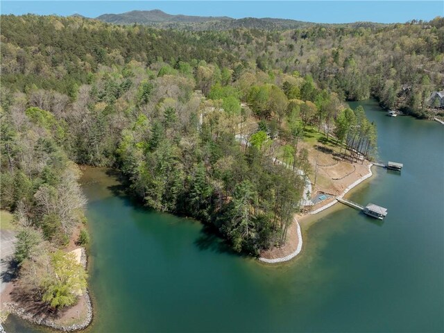 LOT2 Johnson Dr, Sunset, SC 29685 - photo 23