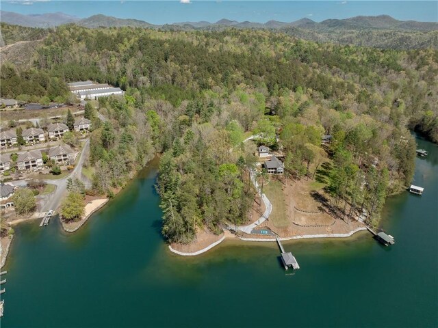 LOT2 Johnson Dr, Sunset, SC 29685 - photo 24