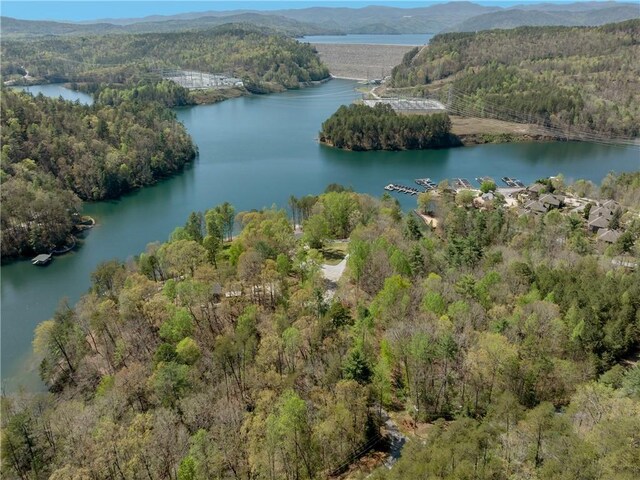 LOT2 Johnson Dr, Sunset, SC 29685 - photo 26