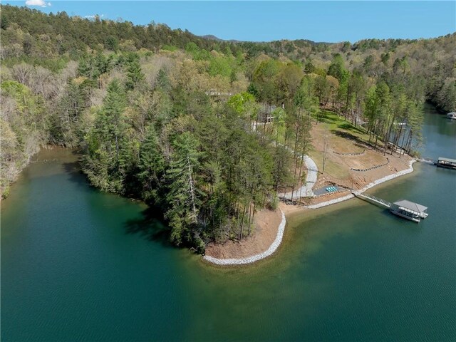 LOT2 Johnson Dr, Sunset, SC 29685 - photo 28