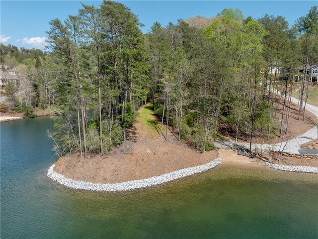 LOT2 Johnson Dr, Sunset, SC 29685 - photo 29