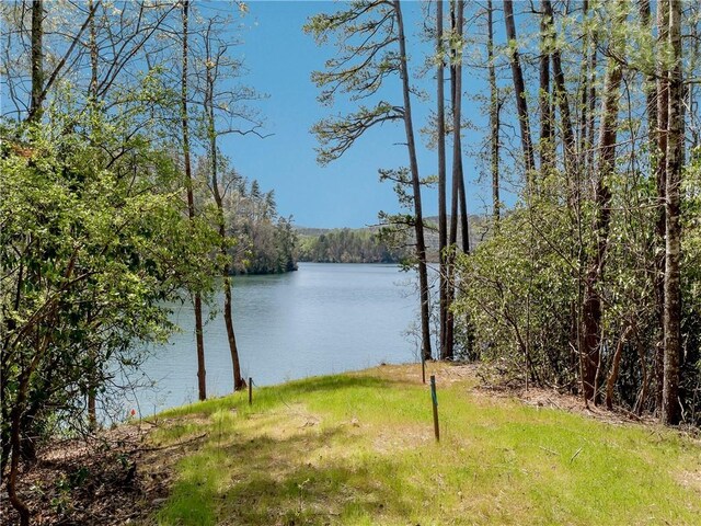 LOT2 Johnson Dr, Sunset, SC 29685 - photo 16