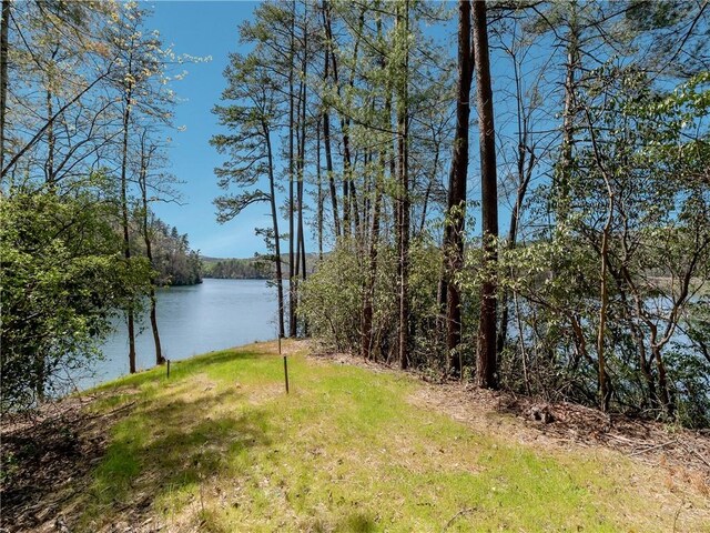 LOT2 Johnson Dr, Sunset, SC 29685 - photo 37