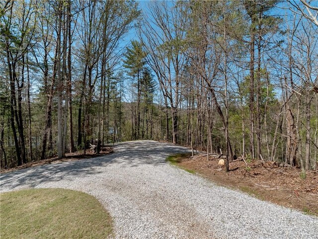 LOT2 Johnson Dr, Sunset, SC 29685 - photo 17