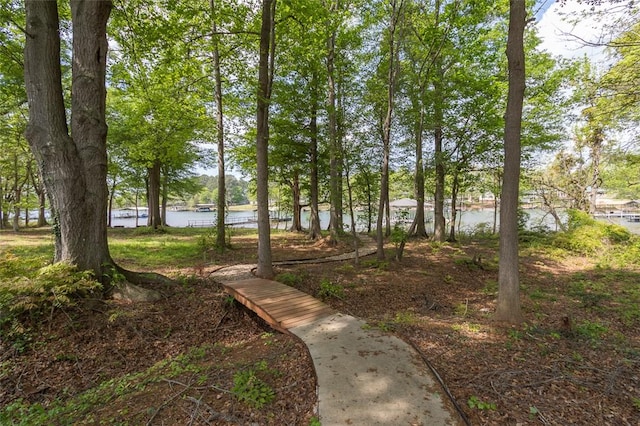 106 Tyra Ln, Townville, SC 29689 - photo 46