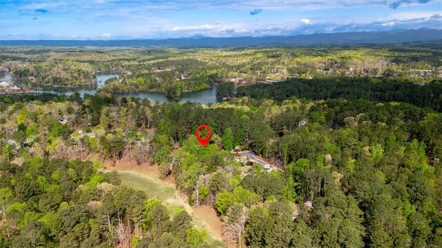 323 Long Reach Dr, Salem, SC 29676