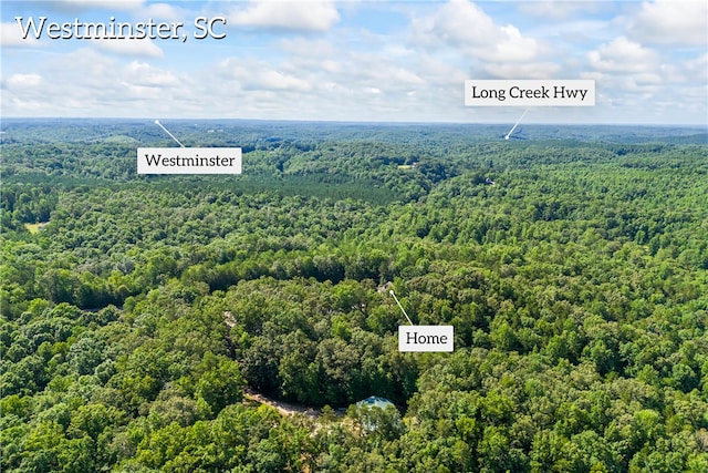 birds eye view of property with a forest view