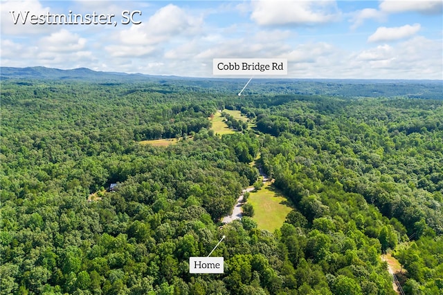 birds eye view of property featuring a view of trees