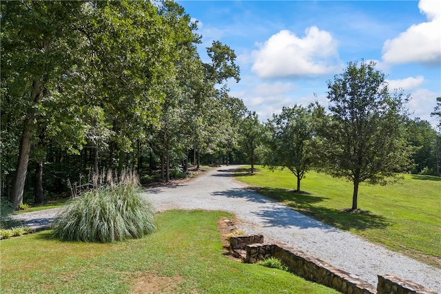 surrounding community featuring a lawn