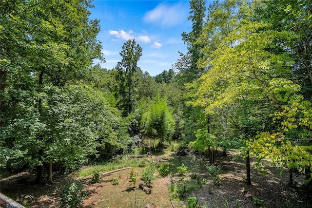 14029 Azalea Dr, Seneca, SC 29678 - view of landscape featuring a wooded view