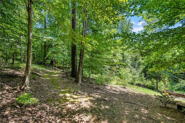 14029 Azalea Dr, Seneca, SC 29678 - view of local wilderness featuring a wooded view