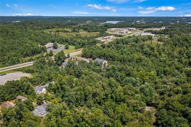 14029 Azalea Dr, Seneca, SC 29678 - drone / aerial view with a wooded view