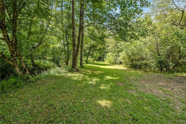 14029 Azalea Dr, Seneca, SC 29678 - view of yard featuring a forest view