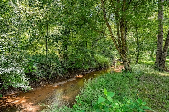 14029 Azalea Dr, Seneca, SC 29678 - view of landscape