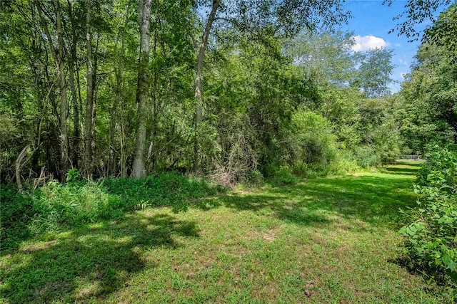 14029 Azalea Dr, Seneca, SC 29678 - view of nature featuring a forest view