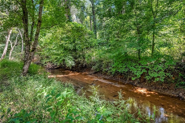14029 Azalea Dr, Seneca, SC 29678 - view of local wilderness