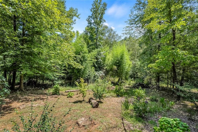 14029 Azalea Dr, Seneca, SC 29678 - view of nature featuring a wooded view