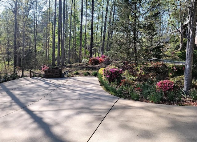 14029 Azalea Dr, Seneca, SC 29678 - view of patio
