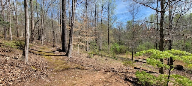 14029 Azalea Dr, Seneca, SC 29678 - view of local wilderness with a view of trees