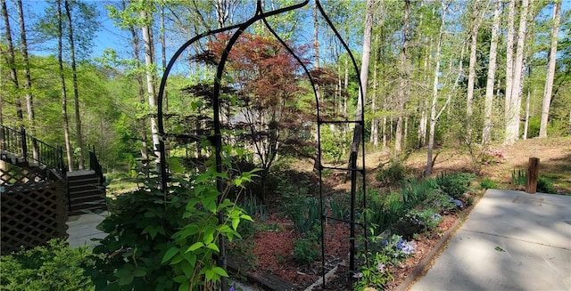 14029 Azalea Dr, Seneca, SC 29678 - view of yard with a view of trees