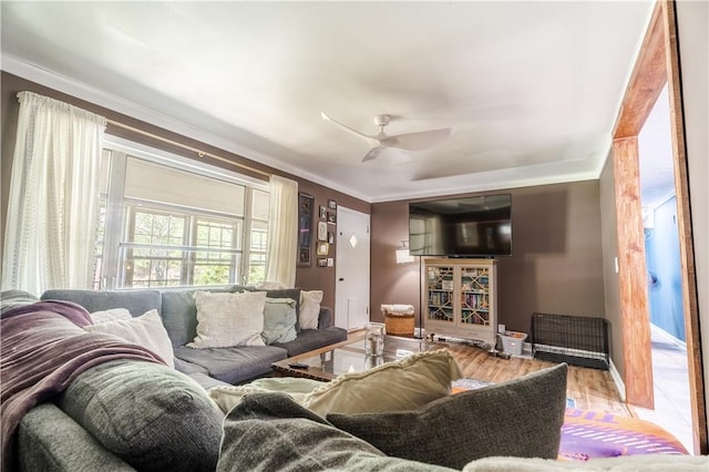 living room with ornamental molding, ceiling fan, and baseboards