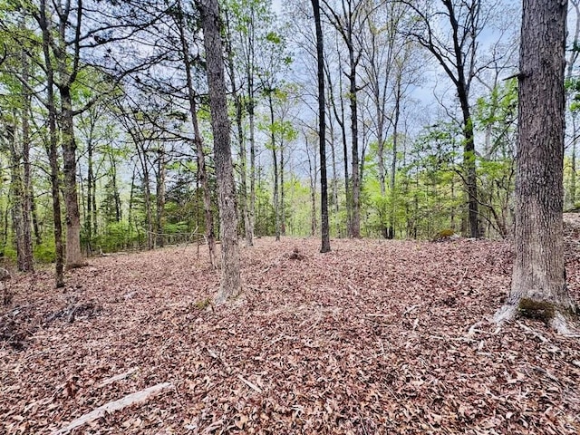 616 Lake Forest Dr, Abbeville, SC 29620 - photo 4