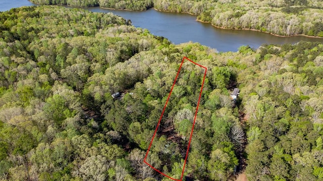 616 Lake Forest Dr, Abbeville, SC 29620 - photo 10