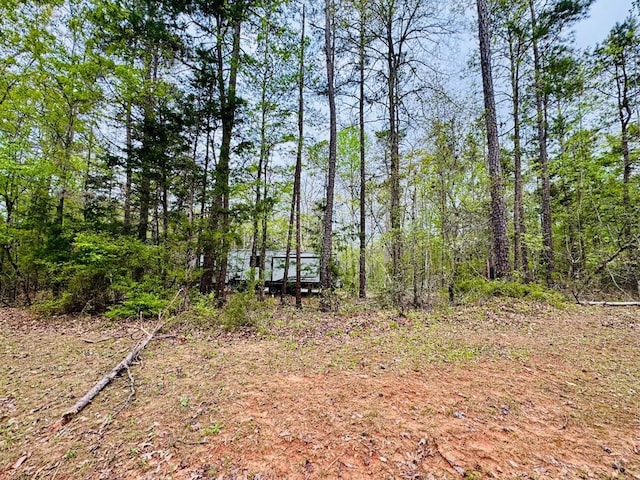 616 Lake Forest Dr, Abbeville, SC 29620 - photo 5