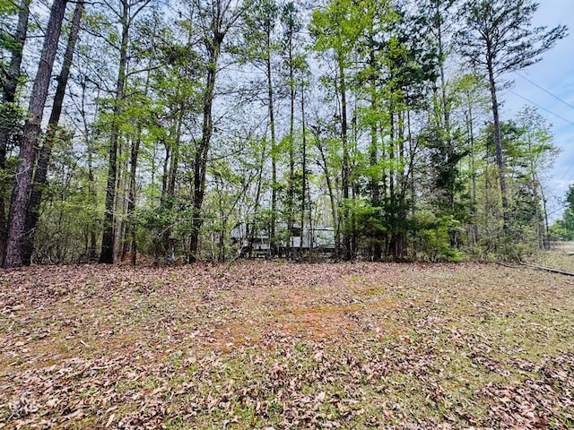 616 Lake Forest Dr, Abbeville, SC 29620 - photo 6