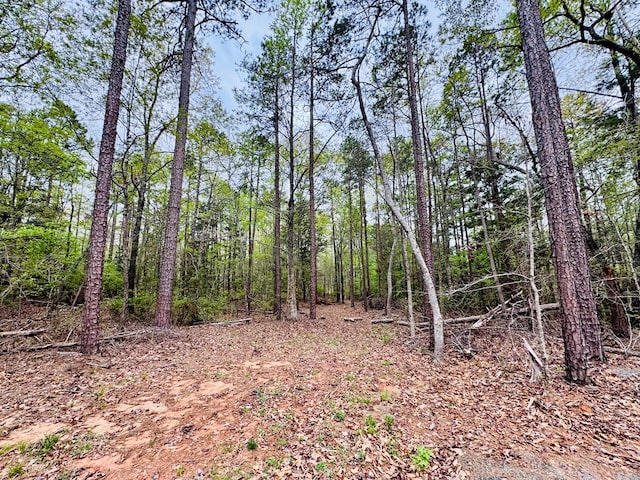 616 Lake Forest Dr, Abbeville, SC 29620 - photo 8