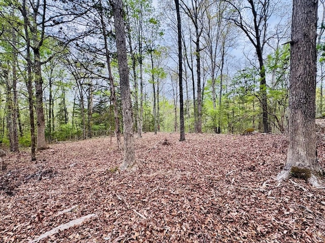 616 Lake Forest Dr, Abbeville, SC 29620 - photo 16