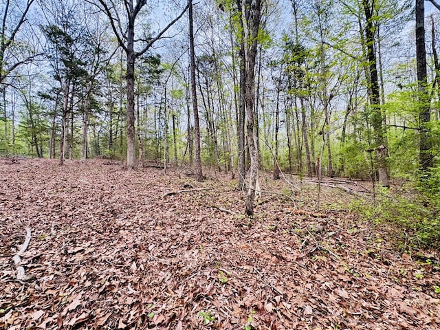 616 Lake Forest Dr, Abbeville, SC 29620 - photo 20