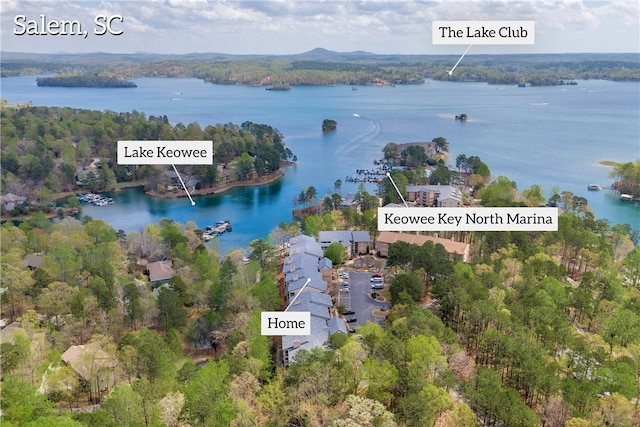 491 Tall Ship Dr Unit 326, Salem, SC 29676 - bird's eye view with a water view and a wooded view