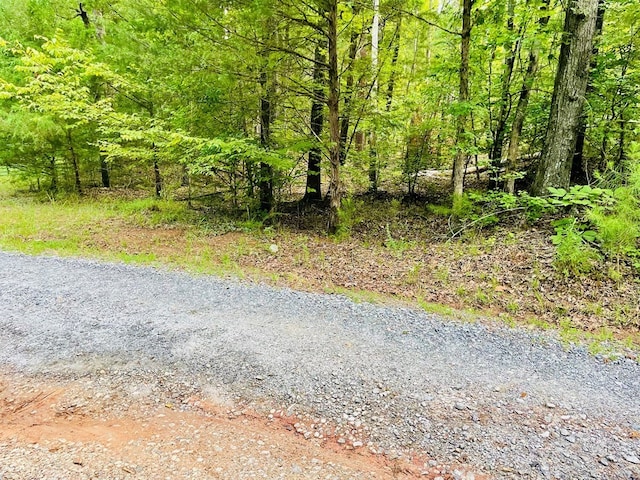 00 Lake Forest Dr, Abbeville, SC 29620 - photo 8
