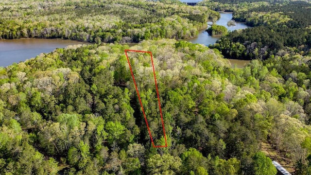 00 Lake Forest Dr, Abbeville, SC 29620 - photo 11