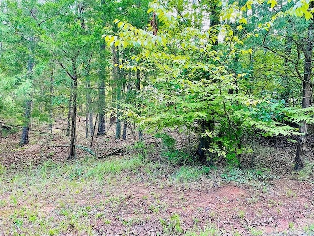 00 Lake Forest Dr, Abbeville, SC 29620 - photo 10