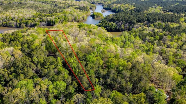 00 Lake Forest Dr, Abbeville, SC 29620 - photo 12