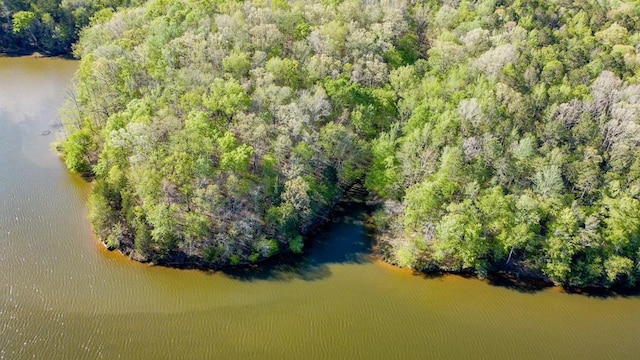00 Lake Forest Dr, Abbeville, SC 29620 - photo 13
