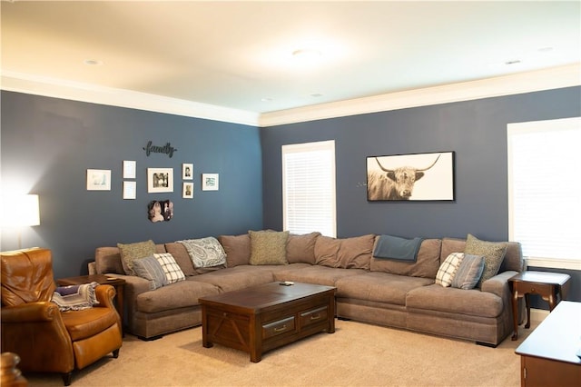 24 Dunsborough Dr, Simpsonville, SC 29680 - living area with light carpet and crown molding