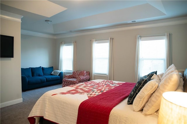 24 Dunsborough Dr, Simpsonville, SC 29680 - carpeted bedroom featuring a raised ceiling, ornamental molding, and multiple windows