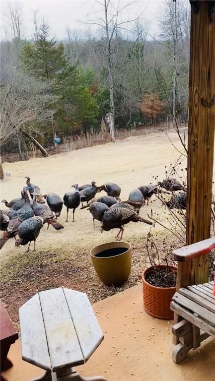 160 Wits End, Pickens, SC 29671 - photo 8