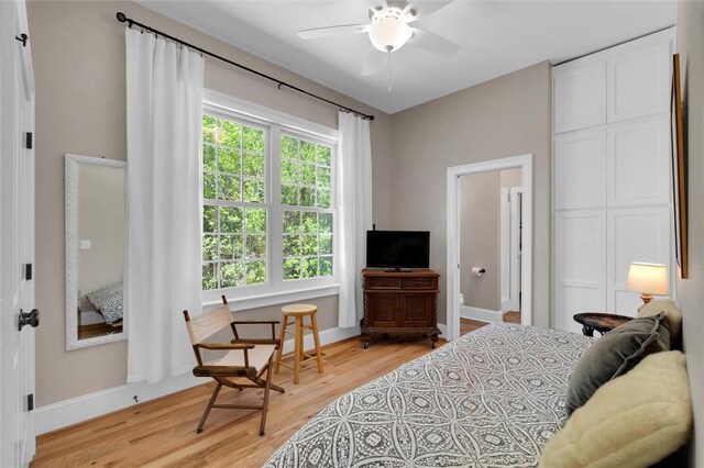 101 Cabernet Way, Travelers Rest, SC 29690 - bedroom featuring light wood-style floors, a closet, and baseboards
