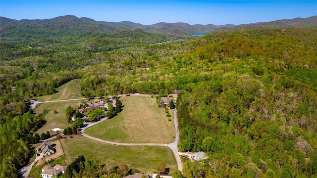 101 Cabernet Way, Travelers Rest, SC 29690 - drone / aerial view with a mountain view and a view of trees
