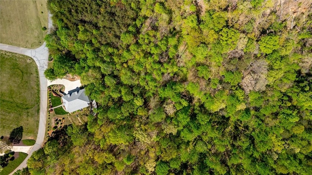 101 Cabernet Way, Travelers Rest, SC 29690 - birds eye view of property