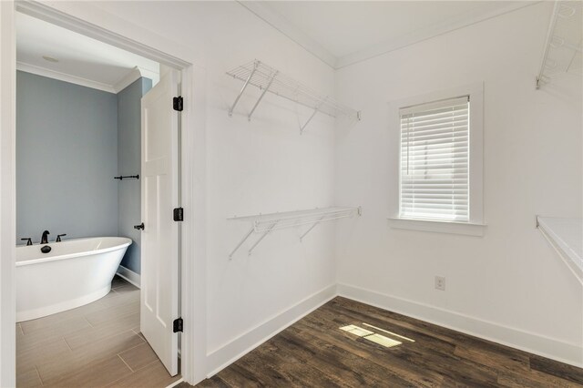 217 Jackson Rd, Iva, SC 29655 - walk in closet featuring dark wood-style flooring