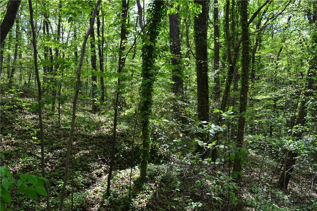 000 Cane Creek Dr, Seneca, SC 29672