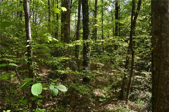 000 Cane Creek Dr, Seneca, SC 29672